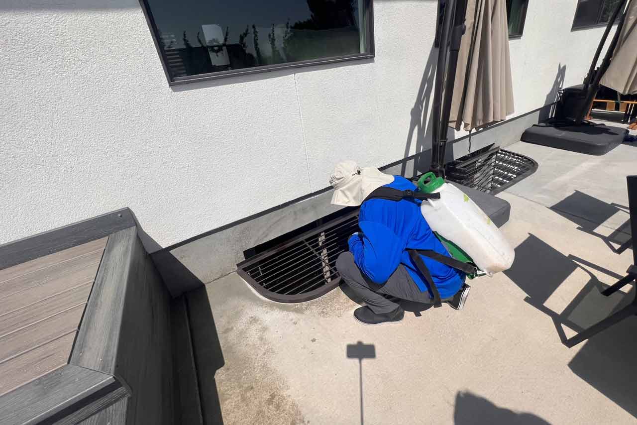 Pest Control Spraying A Window Well