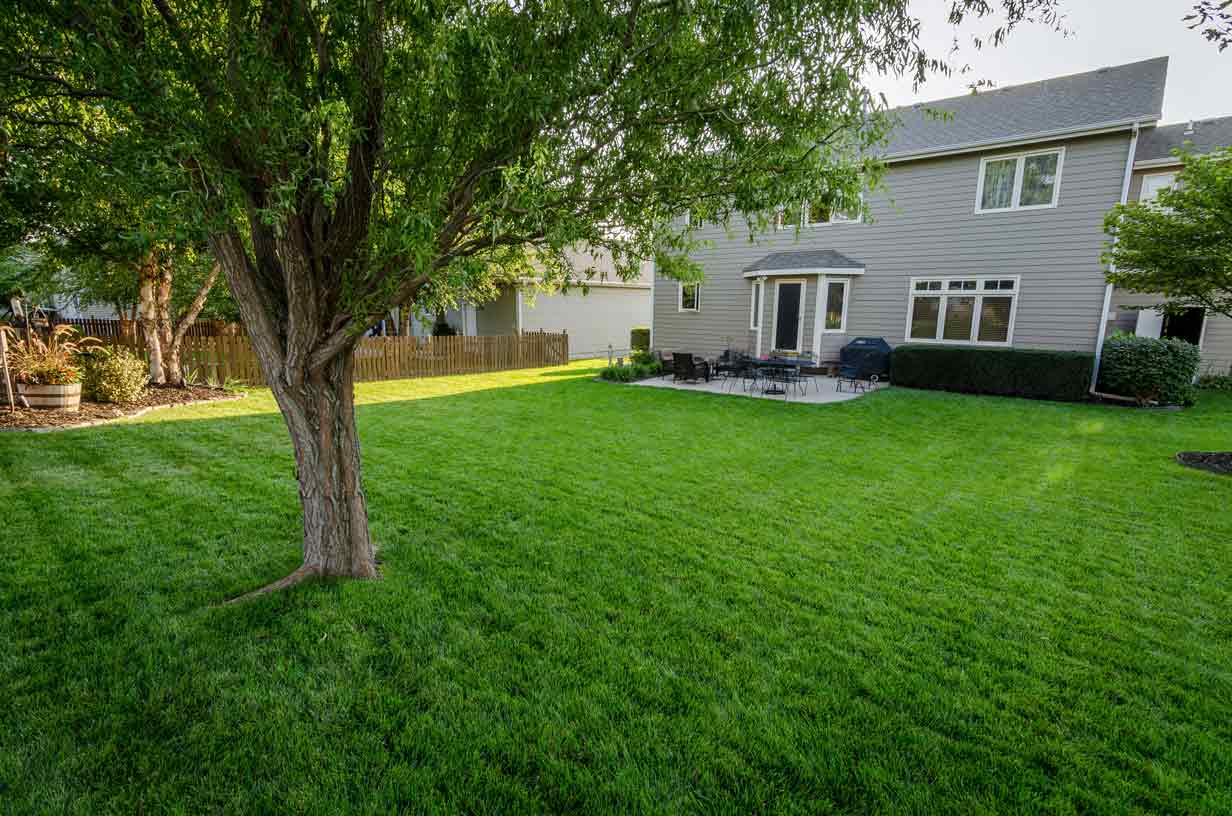 Summit Lawns Green Backyard