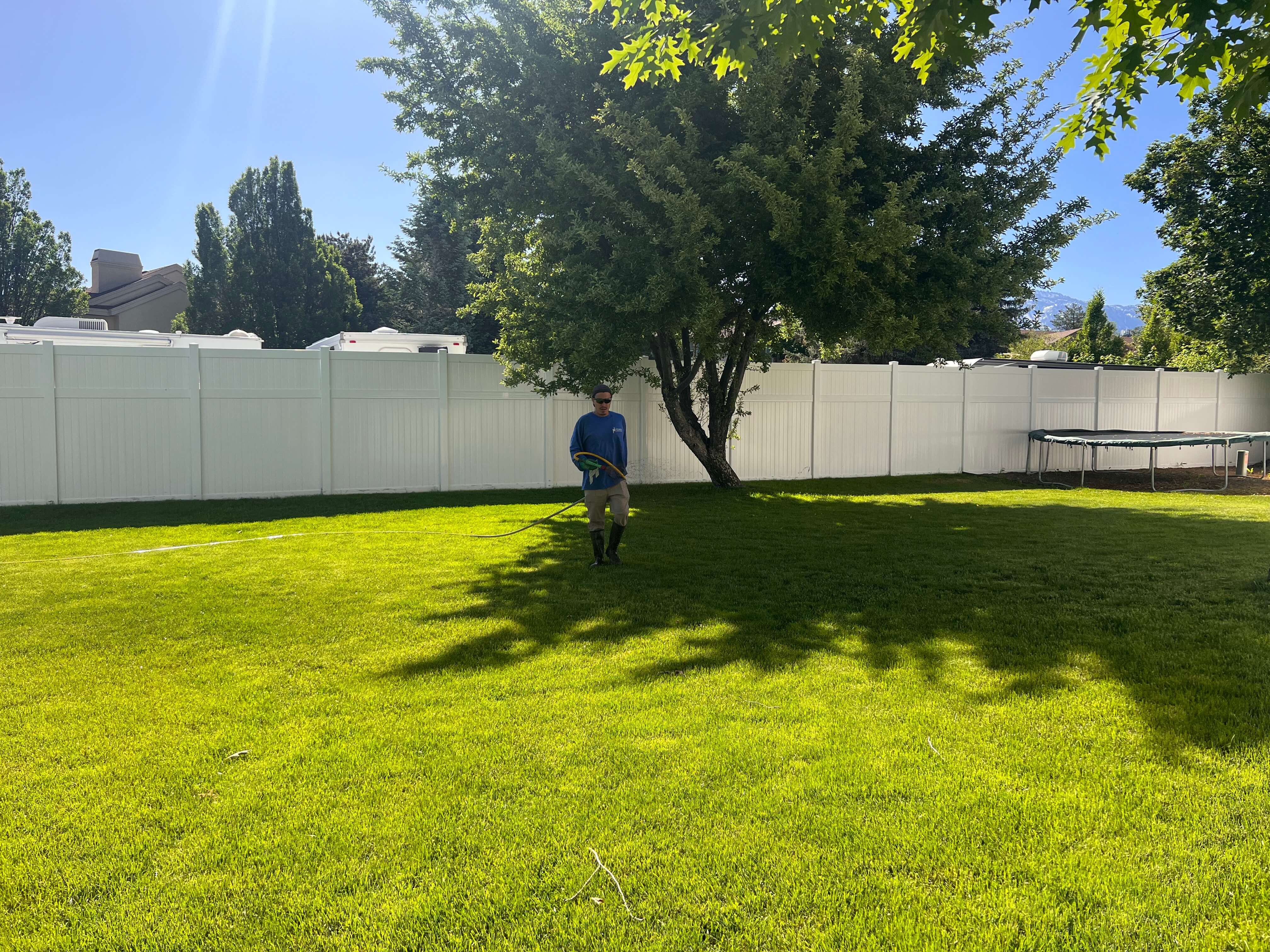 tech spraying in a backyard with one tree 